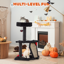 black-cat-tree